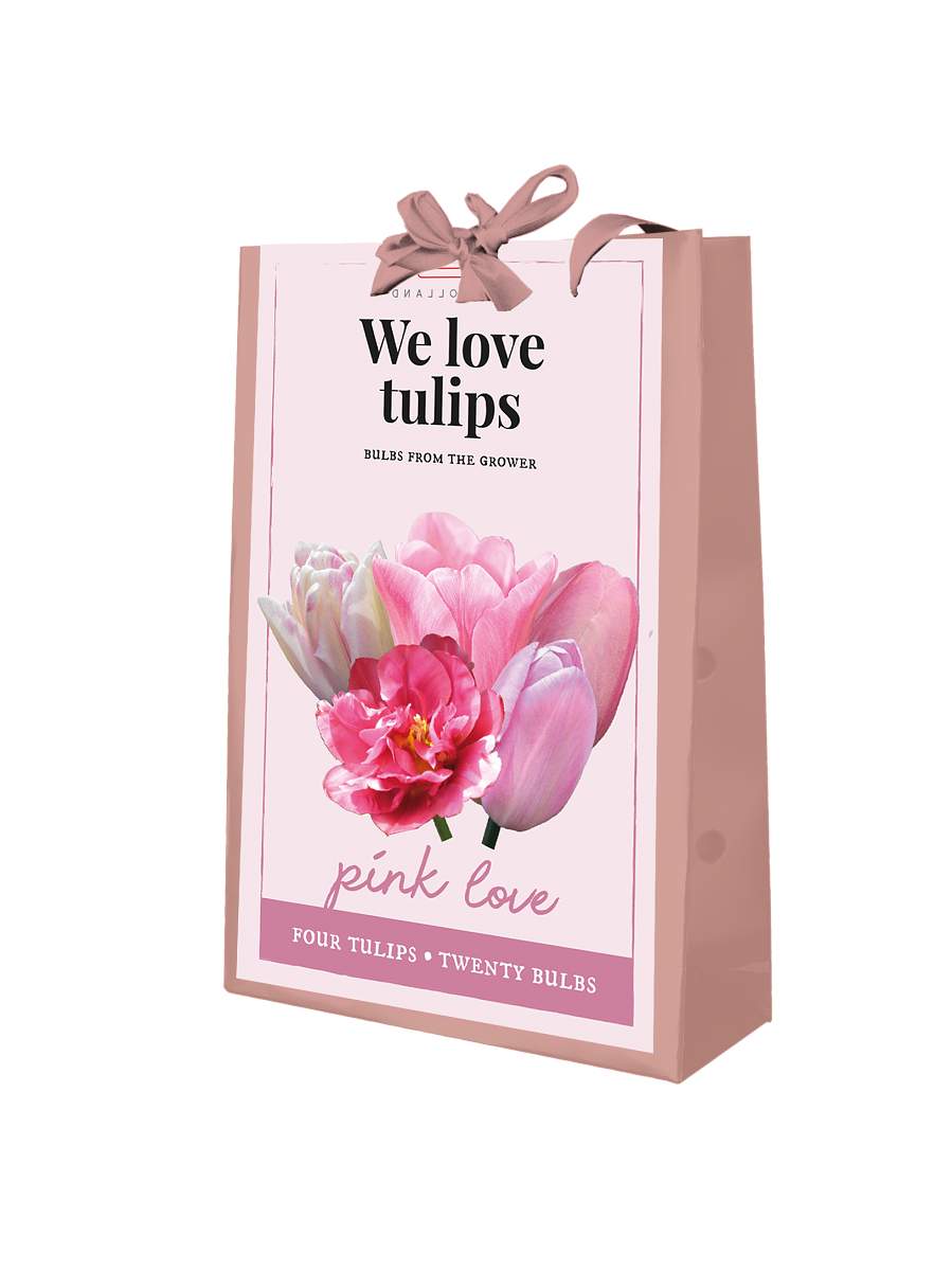 TAŠKA 20 TULIPÁNY 'WE LOVE TULIPS' PINK LOVE 1 ks 